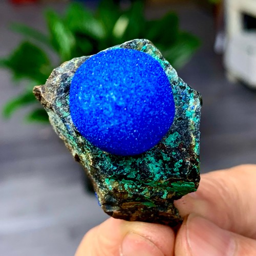 31g pyromorphite crystal - pyromorphite,
