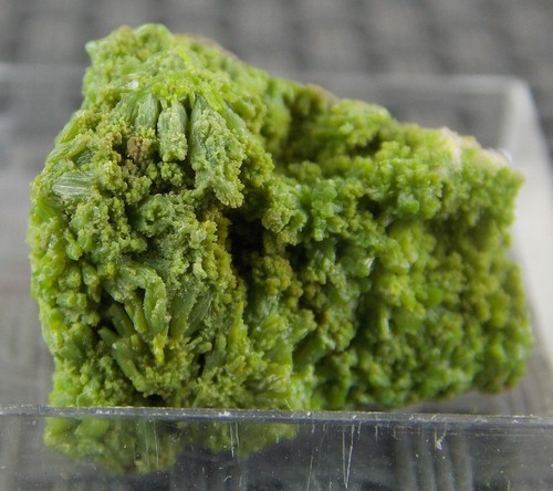 Pyromorphite crystals 9 - -, 1.9