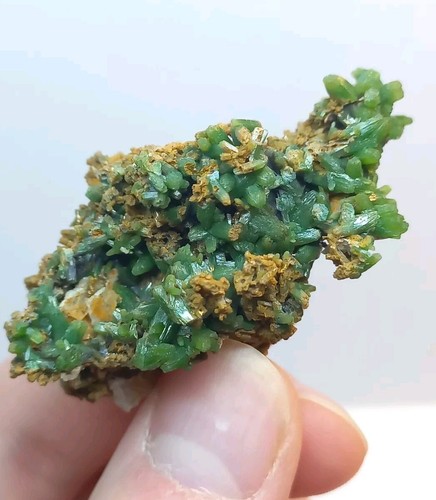 Green pyromorphite crystals - green,