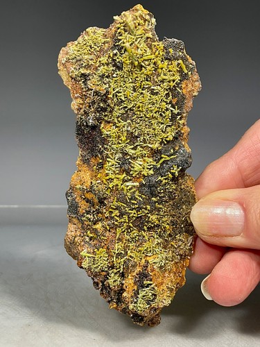 Rocks pyromorphite - -,