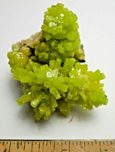 Pyromorphite miniature - pyromorphite,